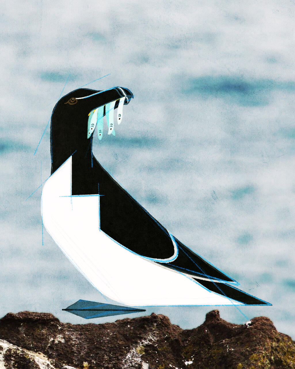 Client: Personal Project: Razorbill