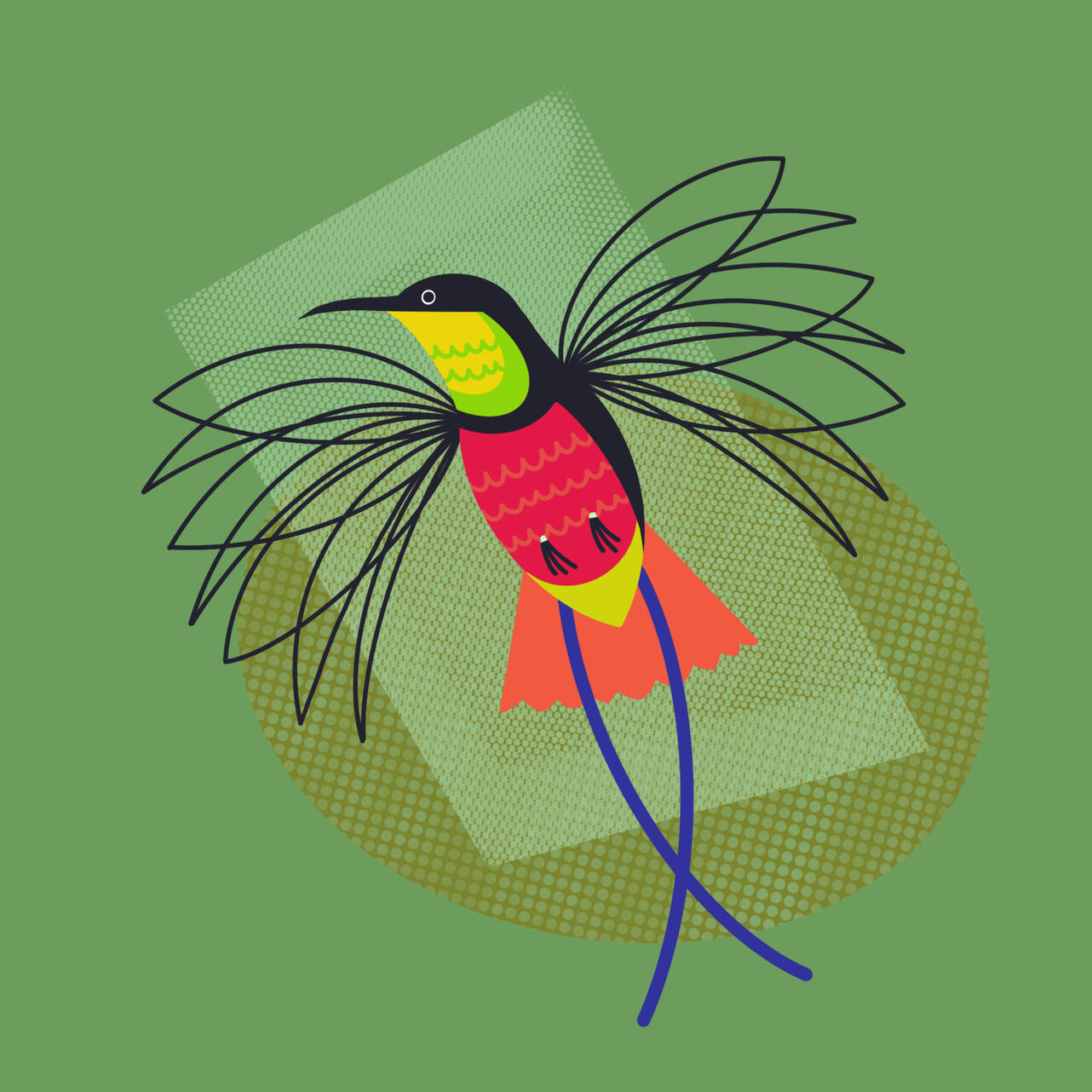 Client: Personal Project: Crimson Topaz Hummingbird