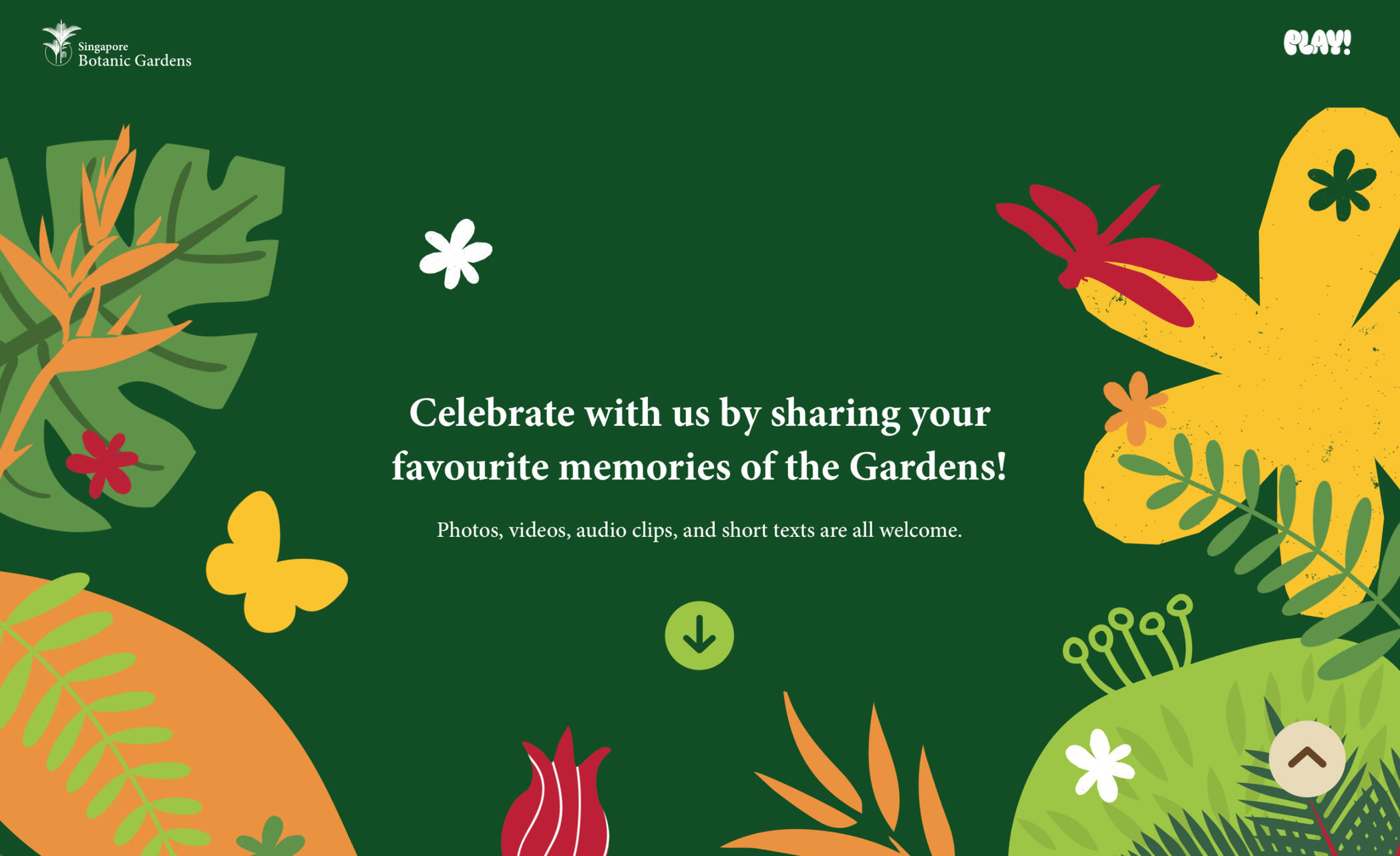 Landing Page 1 Landing Page 1